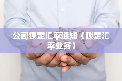 公司锁定汇率通知（锁定汇率业务）