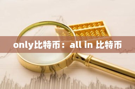 only比特币：all in 比特币