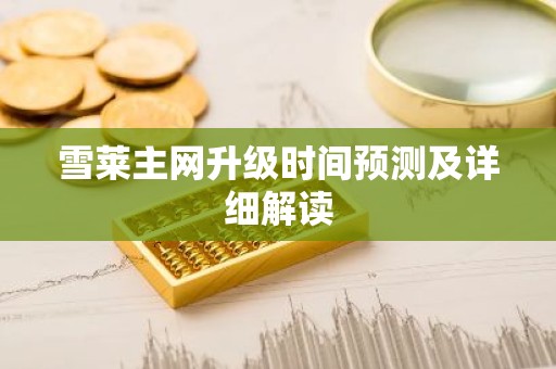 雪莱主网升级时间预测及详细解读