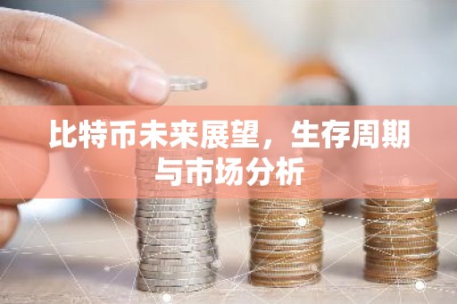 比特币未来展望，生存周期与市场分析