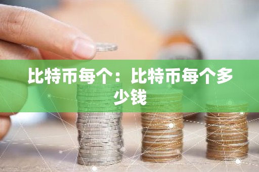 比特币每个：比特币每个多少钱