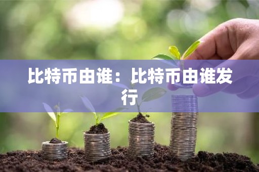 比特币由谁：比特币由谁发行