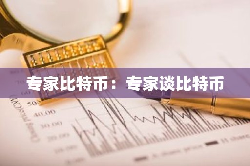 专家比特币：专家谈比特币