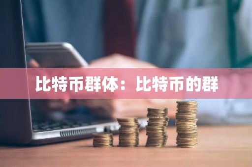 比特币群体：比特币的群