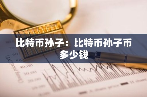 比特币孙子：比特币孙子币多少钱