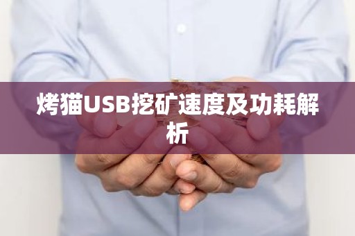 烤猫USB挖矿速度及功耗解析