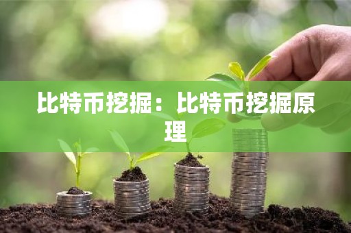 比特币挖掘：比特币挖掘原理
