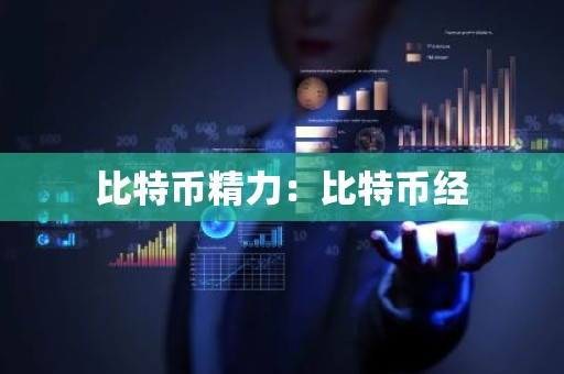 比特币精力：比特币经
