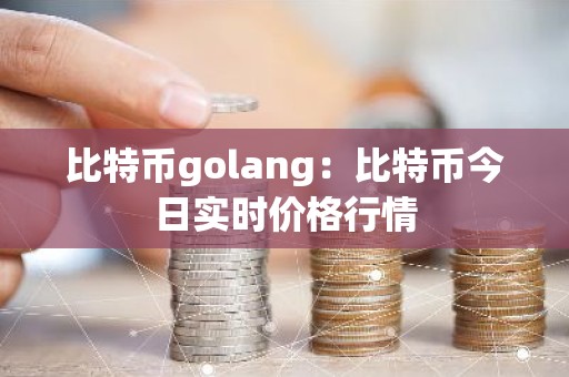 比特币golang：比特币今日实时价格行情