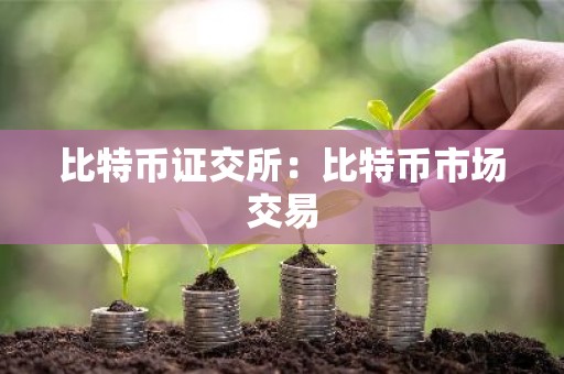 比特币证交所：比特币市场交易