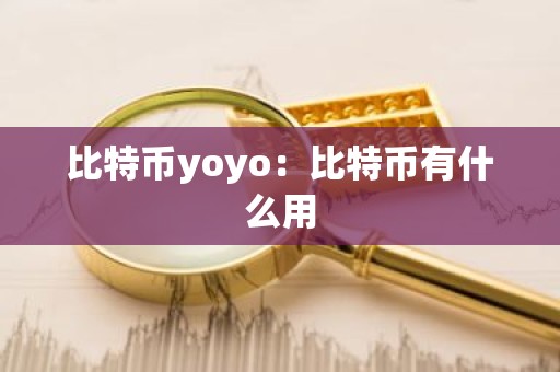 比特币yoyo：比特币有什么用
