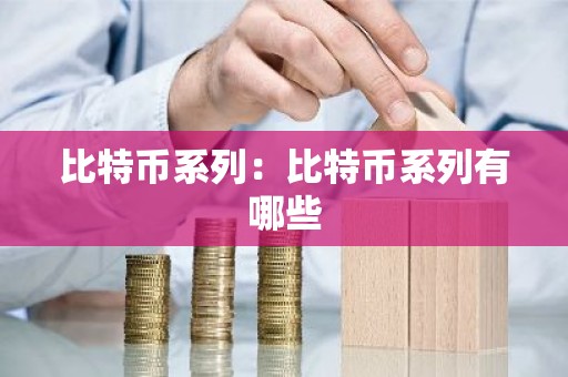 比特币系列：比特币系列有哪些