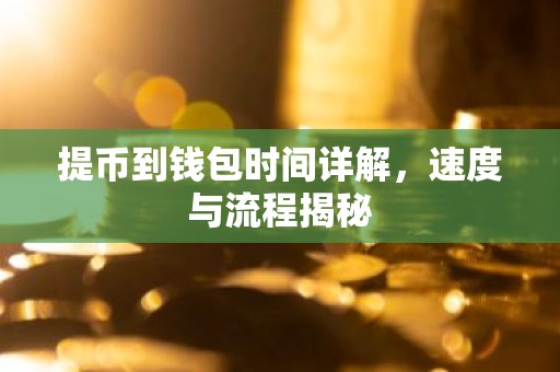 提币到钱包时间详解，速度与流程揭秘