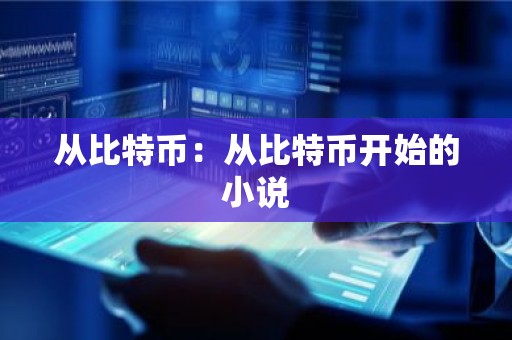 从比特币：从比特币开始的小说