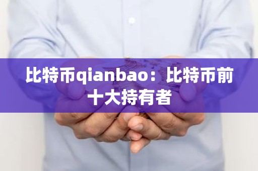 比特币qianbao：比特币前十大持有者