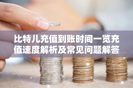比特儿充值到账时间一览充值速度解析及常见问题解答