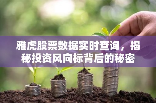雅虎股票数据实时查询，揭秘投资风向标背后的秘密