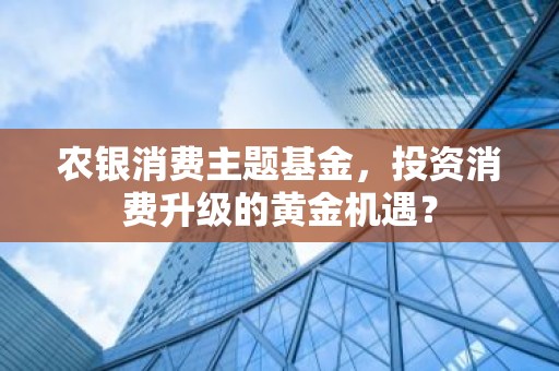 农银消费主题基金，投资消费升级的黄金机遇？