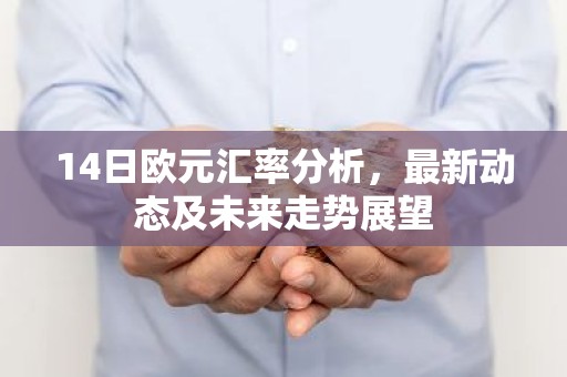 14日欧元汇率分析，最新动态及未来走势展望