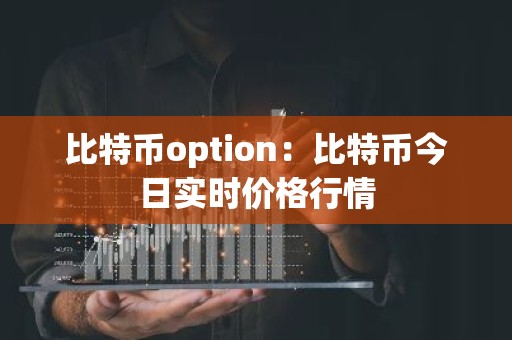 比特币option：比特币今日实时价格行情