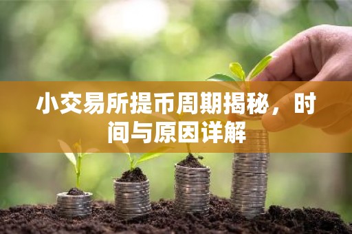 小交易所提币周期揭秘，时间与原因详解