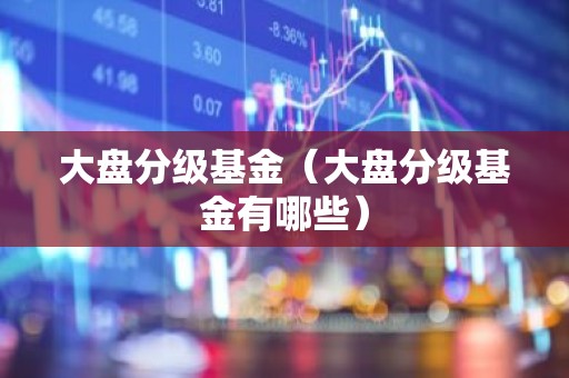 大盘分级基金（大盘分级基金有哪些）