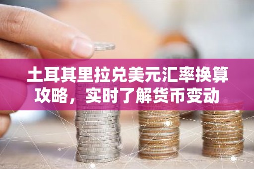 土耳其里拉兑美元汇率换算攻略，实时了解货币变动