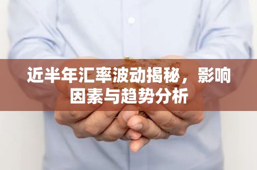 近半年汇率波动揭秘，影响因素与趋势分析