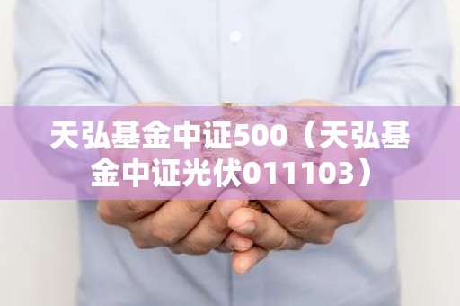 天弘基金中证500（天弘基金中证光伏011103）