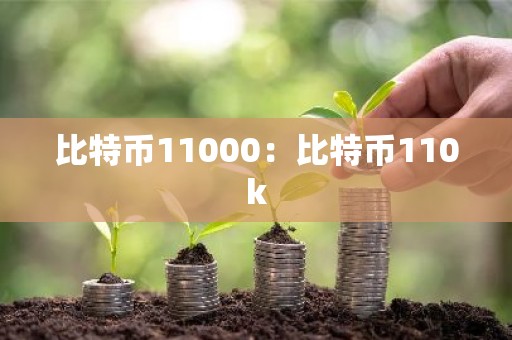 比特币11000：比特币110k