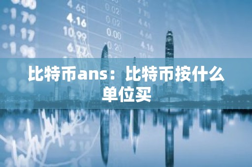 比特币ans：比特币按什么单位买