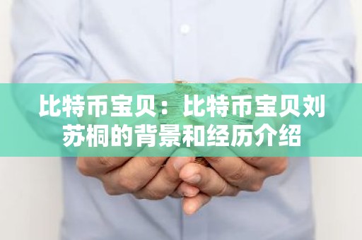 比特币宝贝：比特币宝贝刘苏桐的背景和经历介绍