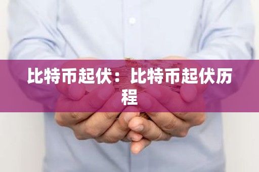 比特币起伏：比特币起伏历程