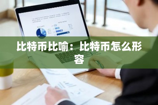 比特币比喻：比特币怎么形容