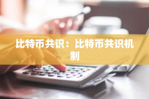 比特币共识：比特币共识机制