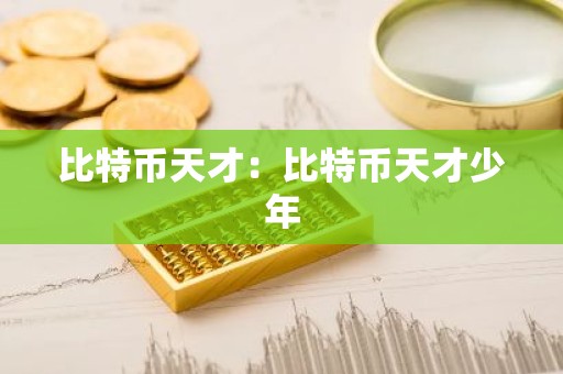 比特币天才：比特币天才少年