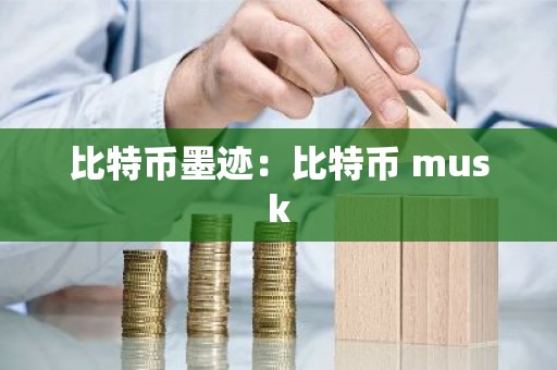比特币墨迹：比特币 musk