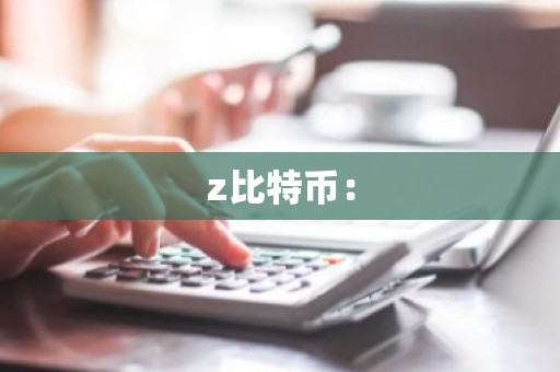 z比特币：