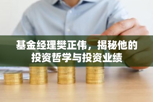 基金经理樊正伟，揭秘他的投资哲学与投资业绩