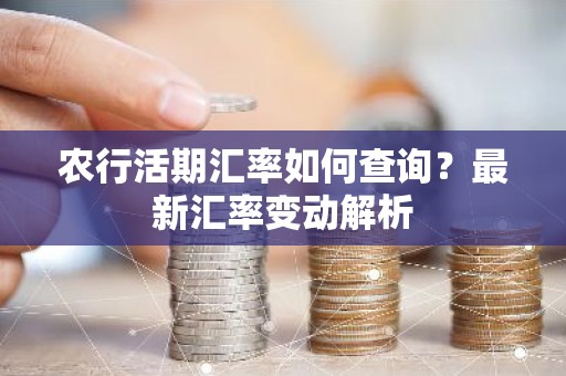 农行活期汇率如何查询？最新汇率变动解析