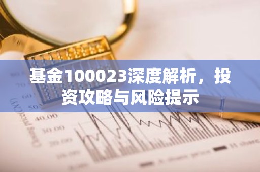 基金100023深度解析，投资攻略与风险提示