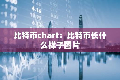 比特币chart：比特币长什么样子图片
