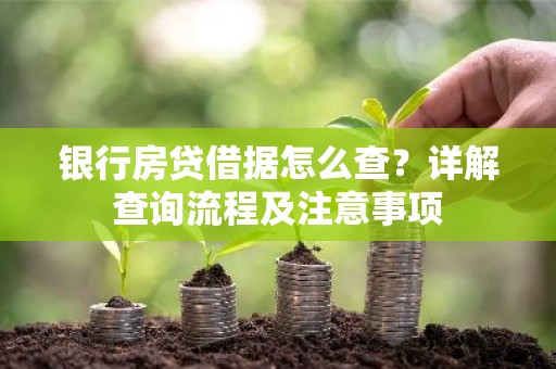 银行房贷借据怎么查？详解查询流程及注意事项
