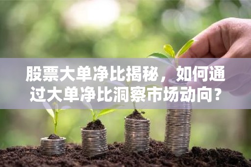 股票大单净比揭秘，如何通过大单净比洞察市场动向？
