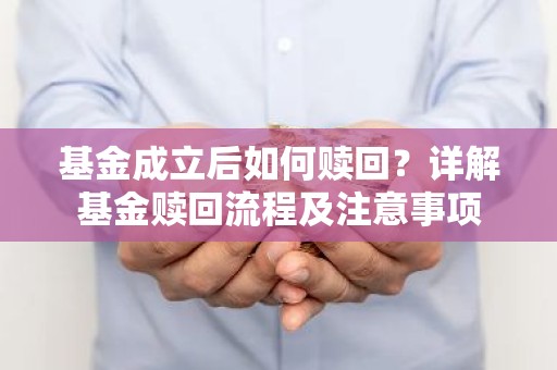 基金成立后如何赎回？详解基金赎回流程及注意事项