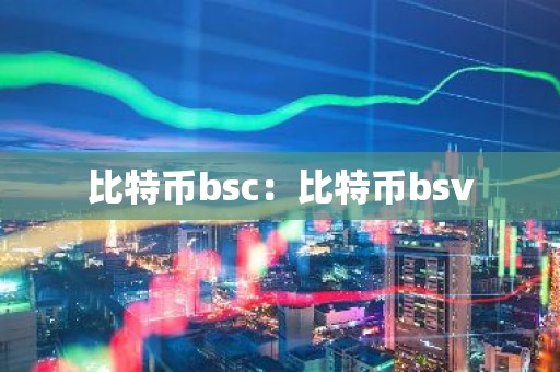 比特币bsc：比特币bsv