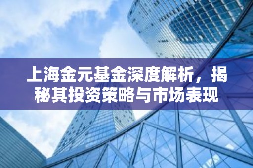 上海金元基金深度解析，揭秘其投资策略与市场表现