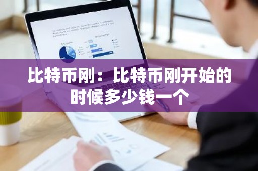 比特币刚：比特币刚开始的时候多少钱一个