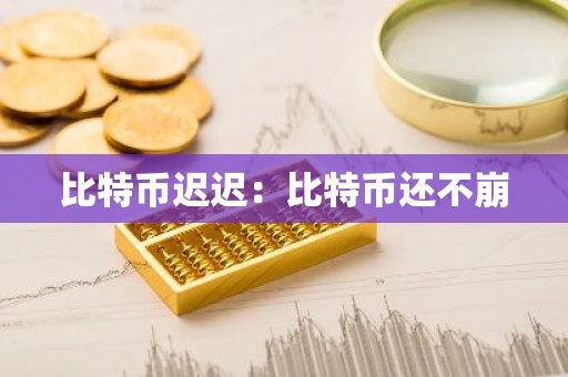 比特币迟迟：比特币还不崩