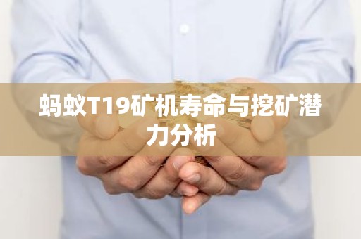 蚂蚁T19矿机寿命与挖矿潜力分析